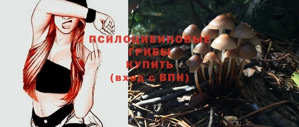 не бодяженный Лагань