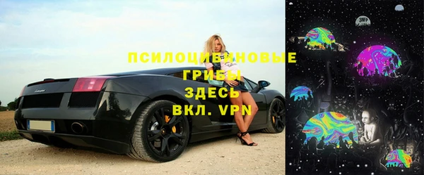 ПСИЛОЦИБИНОВЫЕ ГРИБЫ Ладушкин
