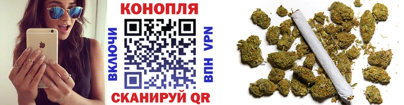 купить наркотик  Ак-Довурак  Марихуана сатива 